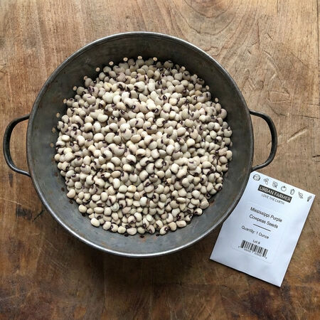 Mississippi Purple, Cowpea Seeds - 5 Pounds image number null